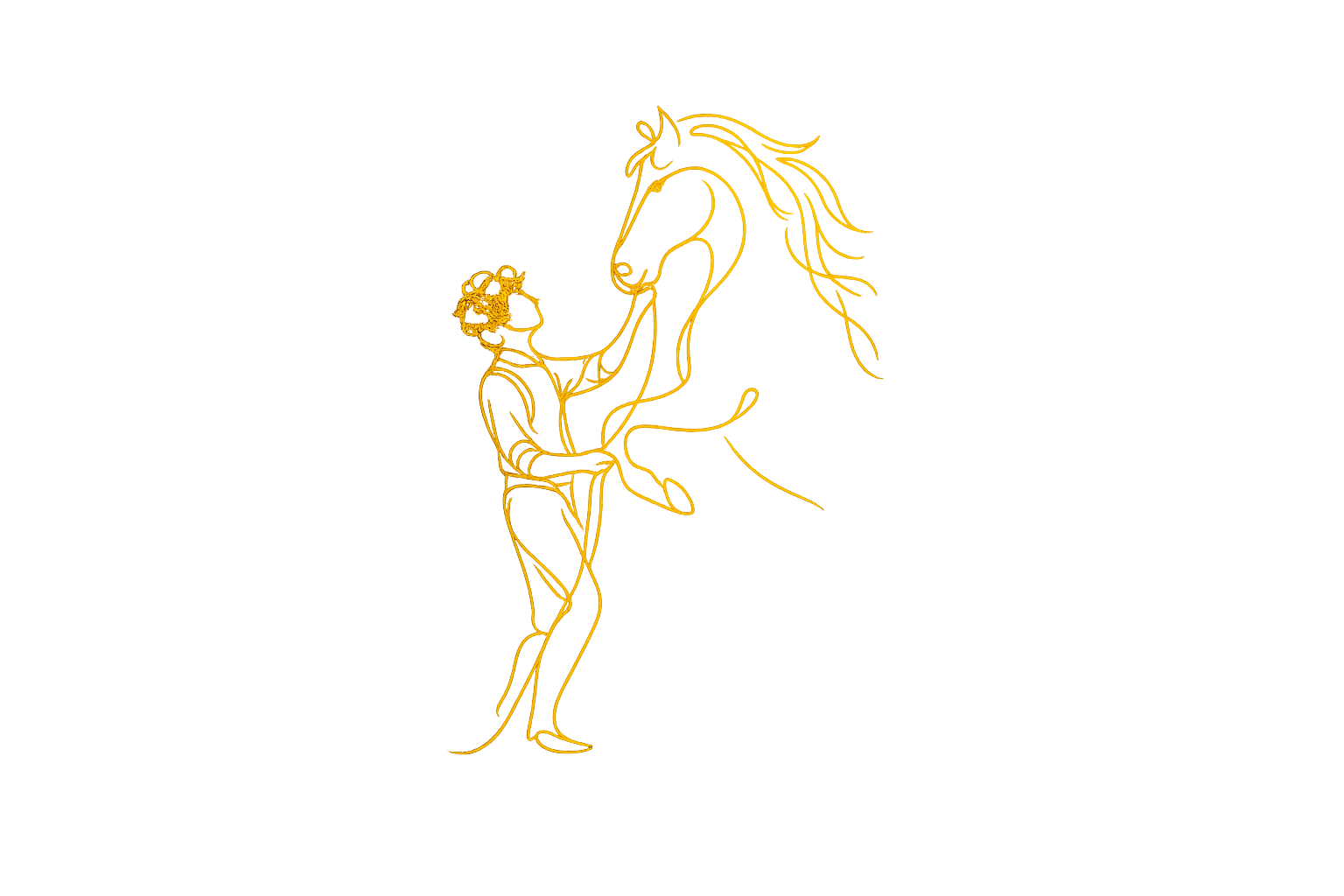 The Horseman's Journal — Book Cover